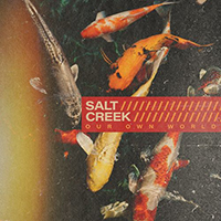 Salt Creek - Our Own World (Single)