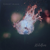 Blakk, Forest  - Wildfire (Single)
