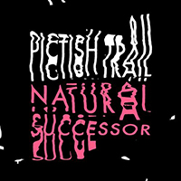 Pictish Trail - Natural Successor (Single)