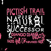 Pictish Trail - Natural Successor (Django Django's 'fazed And Confused Remix')