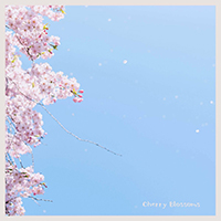 Prithvi - Cherry Blossoms (Single)