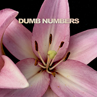 Dumb Numbers - The Longest Goodbye b/w Looking Forlorn In All The Wrong Places (Single)