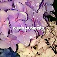 Dumb Numbers - Scars b/w Essence//Existence (Single)