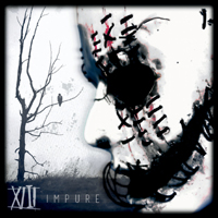 XIII (USA) - Impure