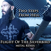 Vincent Moretto - Flight of the Silverbird (Metal Remix)