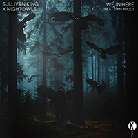 Sullivan King - We In Here (with Nightowls, Dan Rudd)