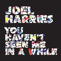 Joel Harries - You Haven't Seen Me In A While (Single)