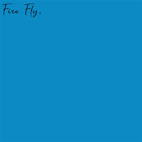 BVG - Fire Fly (Single)