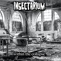 insectarium - Within The Collapse