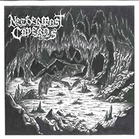 Nethermost Caverns - Shadows of Seclusion (demo)