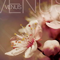 Devotion (ITA) - Venus