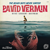 Pavid Vermin - The Beach Boys Never Surfed!