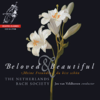 The Netherlands Bach Society - Beloved & Beautiful (feat. Jos van Veldhoven)