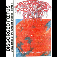 Disgorged Foetus - Degradation Of The Lymphatic Tissues (Demo)