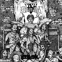 Vivisection (JPN) - 1993-1994