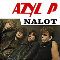 Azyl P. - Nalot