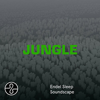 Blaze (FRA) - JUNGLE (Sleep Soundscape)