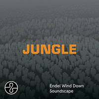 Blaze (FRA) - JUNGLE (Wind Down Soundscape)