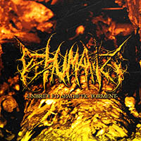 Dehumanize (USA) - Unbridled Apathetic Torment