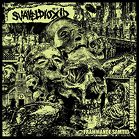 Svaveldioxid - Främmande Samtid Skrämmande Framtid