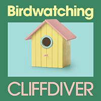 Cliffdiver - birdwatching