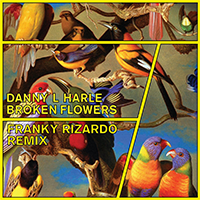 Danny L Harle - Broken Flowers (Franky Rizardo Remix)