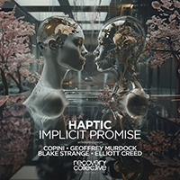 Haptic - Implicit Promise