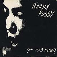 Harry Pussy - What Was Music?