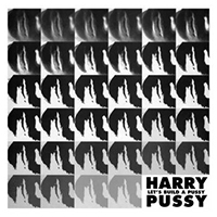 Harry Pussy - Let's Build A Pussy