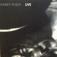 Harry Pussy - Live