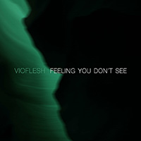 Vioflesh - Feeling You Don't See