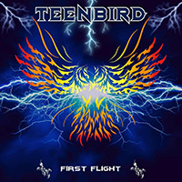 Teenbird - First Flight