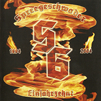 Spreegeschwader - Einjahrzehnt