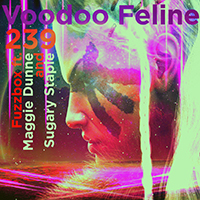 We've Got A Fuzzbox And We're Gonna Use It - Voodoo Feline 239 (EP)