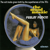 Mood Mosaic (CD Series) - The Mood Mosaic 11 “Feelin' Funky”