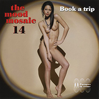 Mood Mosaic (CD Series) - The Mood Mosaic 14: Book A Trip