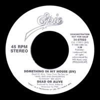 Dead or Alive - Something In My House [7'' Single]