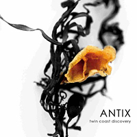 Antix - Twin Coast Discovery