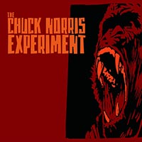 Chuck Norris Experiment - The Chuck Norris Experiment