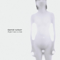 David Usher - If God Had Curves