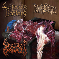 Suffocate Bastard - Mutilated And Split Into Thirds [Split]