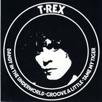 T. Rex - Wax Co. Singles,  Vol. II  - 1975-78 - (CD 08: Dandy In The Underworld)