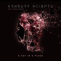 Ashbury Heights - A Cut in a Place 