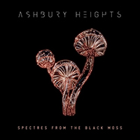 Ashbury Heights - Spectres from the Black Moss