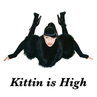 Miss Kittin - Kittin Is High