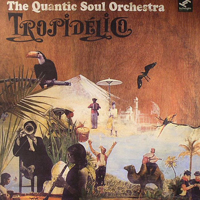 Quantic Soul Orchestra - Tropidelico