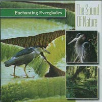 Sound Of Nature - Enchanting everglades