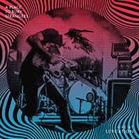 Place To Bury Strangers - Live At LEVITATION