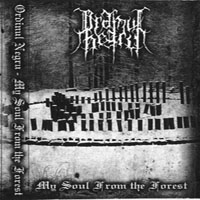 Ordinul Negru - My Soul From The Forest
