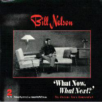 Bill Nelson - What Now, What Next (CD 1)